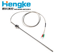WRNK-191 291 探針熱電偶 E,K,J,T分度專業定制