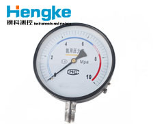 YA系列壓力表 多規(guī)格定制 專業(yè)壓力測(cè)量